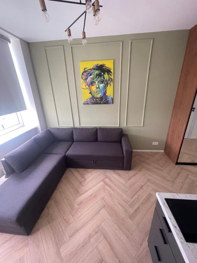 Airport Apartment 14 Self Check-In Free Parking VNO Dış mekan fotoğraf